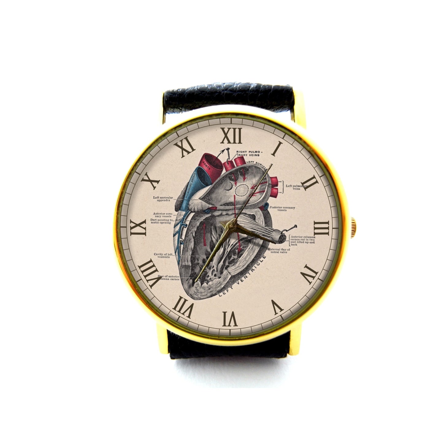 Heart Diagram Leather Watch, Anatomy Watch, Gift Ideas, Birthday Gift, Heart Jewelry