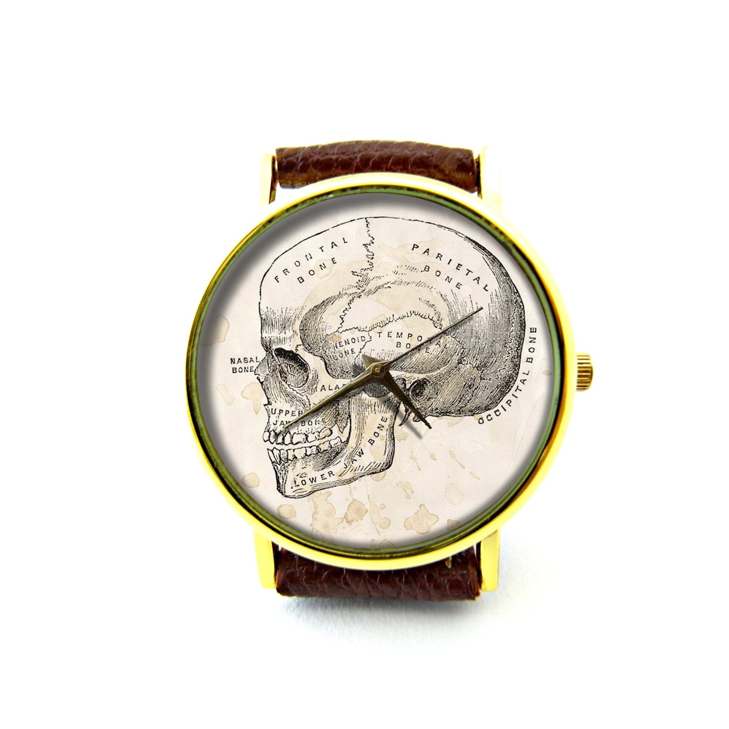 Vintage Skull Diagram Leather Watch, Anatomy Art Watch, Skull Watch, Skull Jewelry