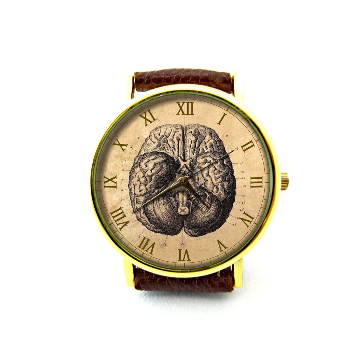 Vintage Brain Leather Watch, Brain Watch, Vintage Anatomy Watch, Ladies Watch, Mens Watch, Human Brain Watch, Brain Jewelry